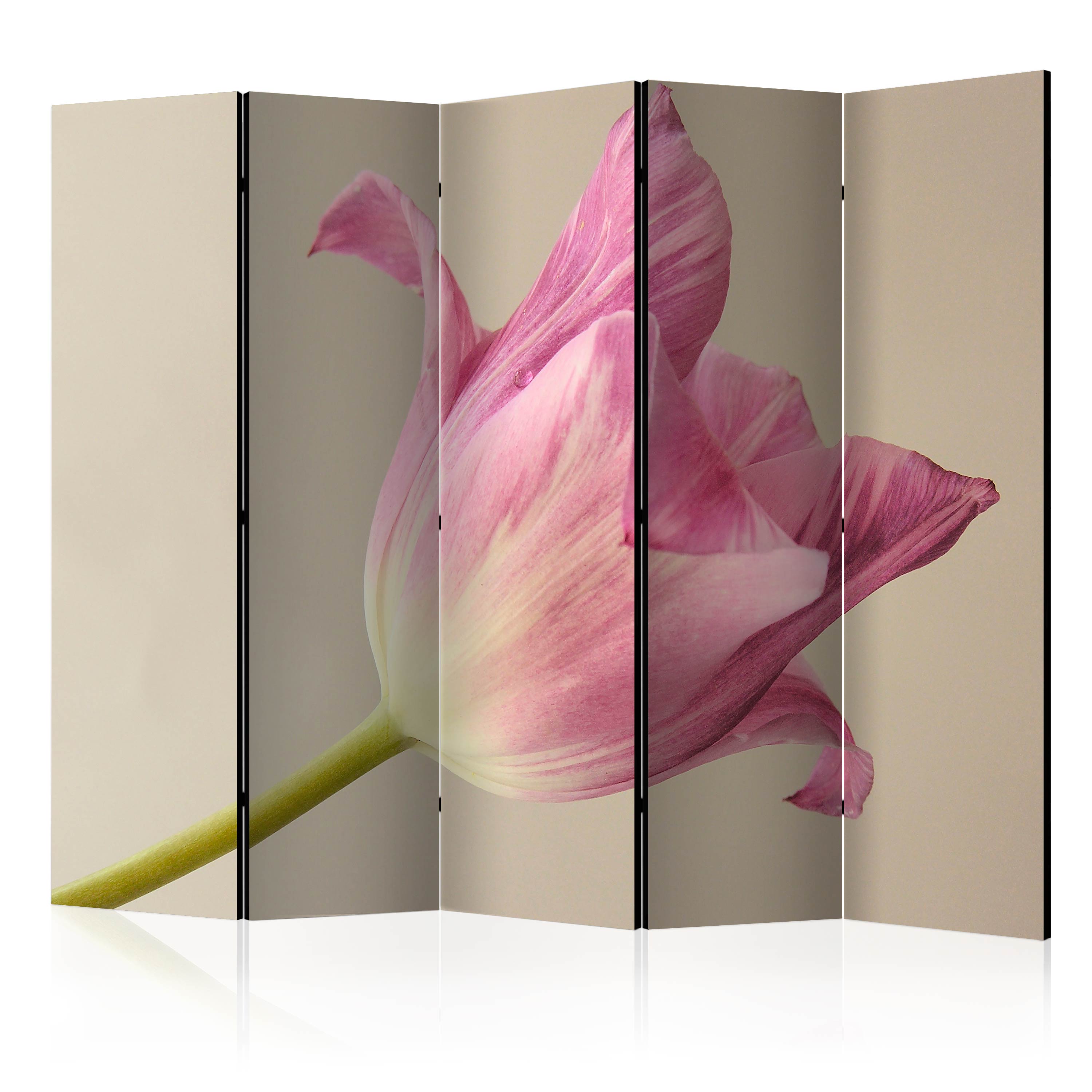 Biombo - Pink Tulip II [Separadores de ambientes] [225x172] | Leroy Merlin