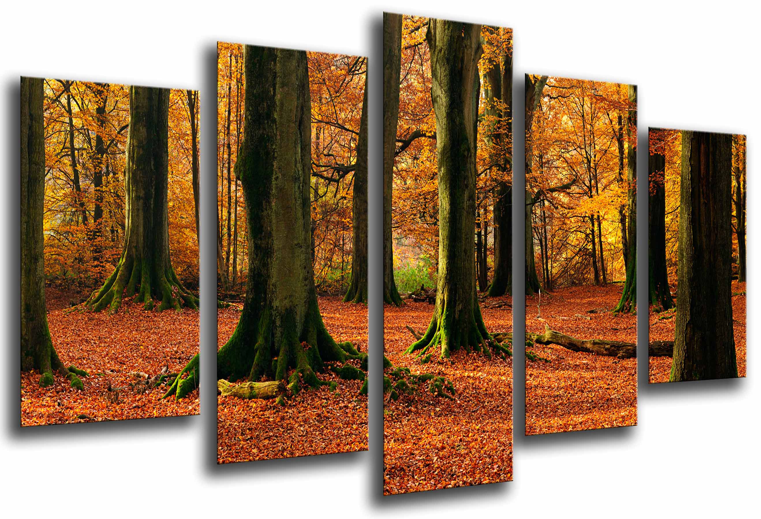 Paisaje otoño bosque, arboles troncos, anaranjados, impresión fotográfica sobre madera, cuadro moderno decorativo