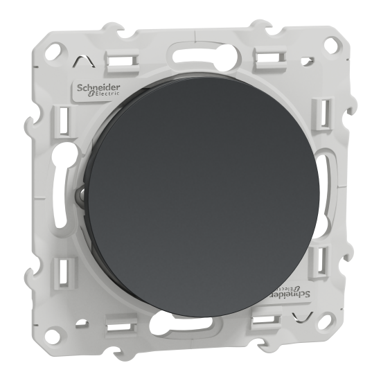 Odace, va-et-vient Anthracite, 10 A, à vis - S540204