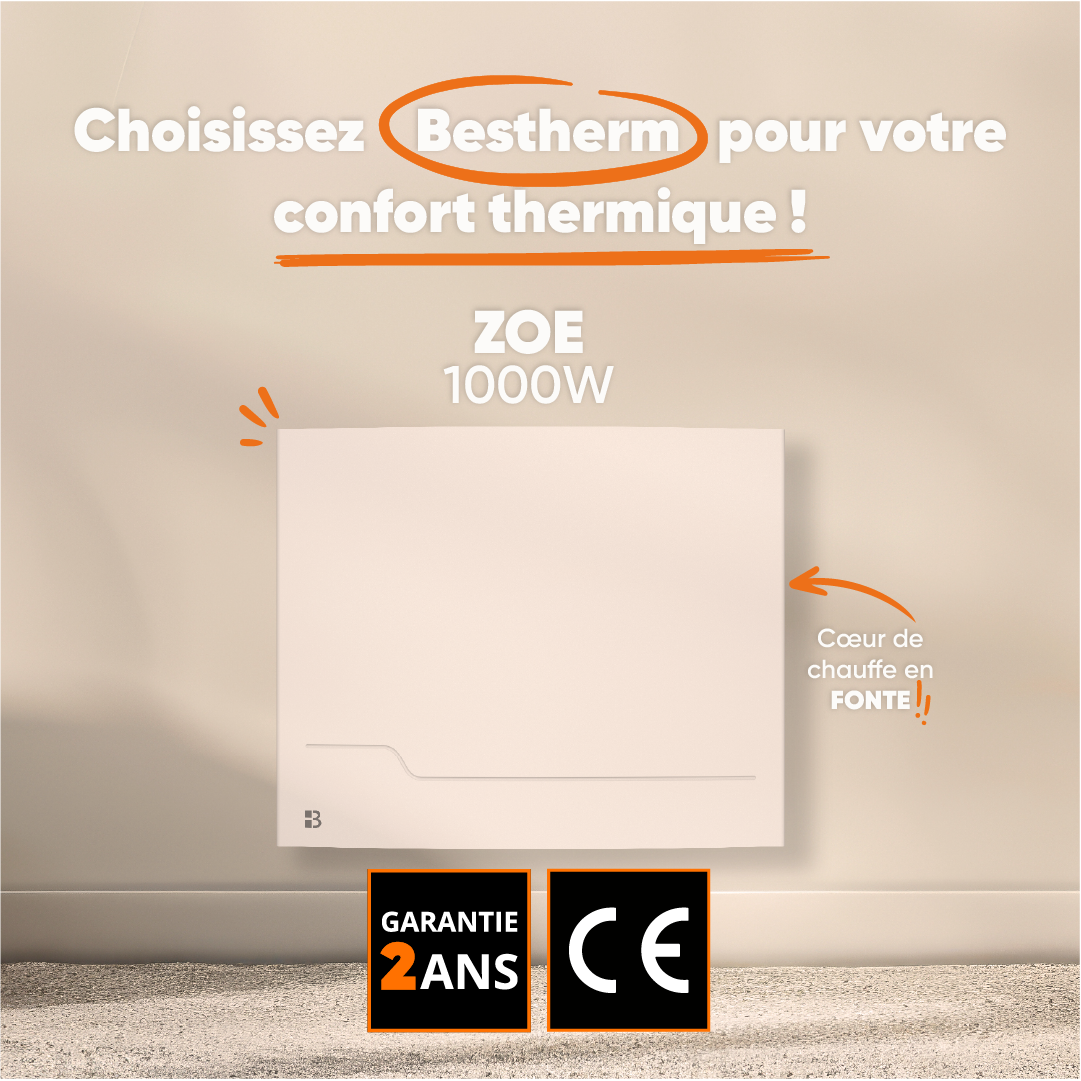 Radiateur électrique fixe à inertie sèche fonte 1000W Bestherm ZOE horizontal blanc - 3