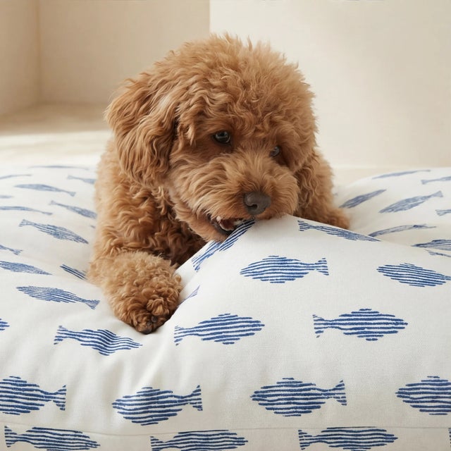 Cama para animais com capa removíve Chiry M (80x60 cm)