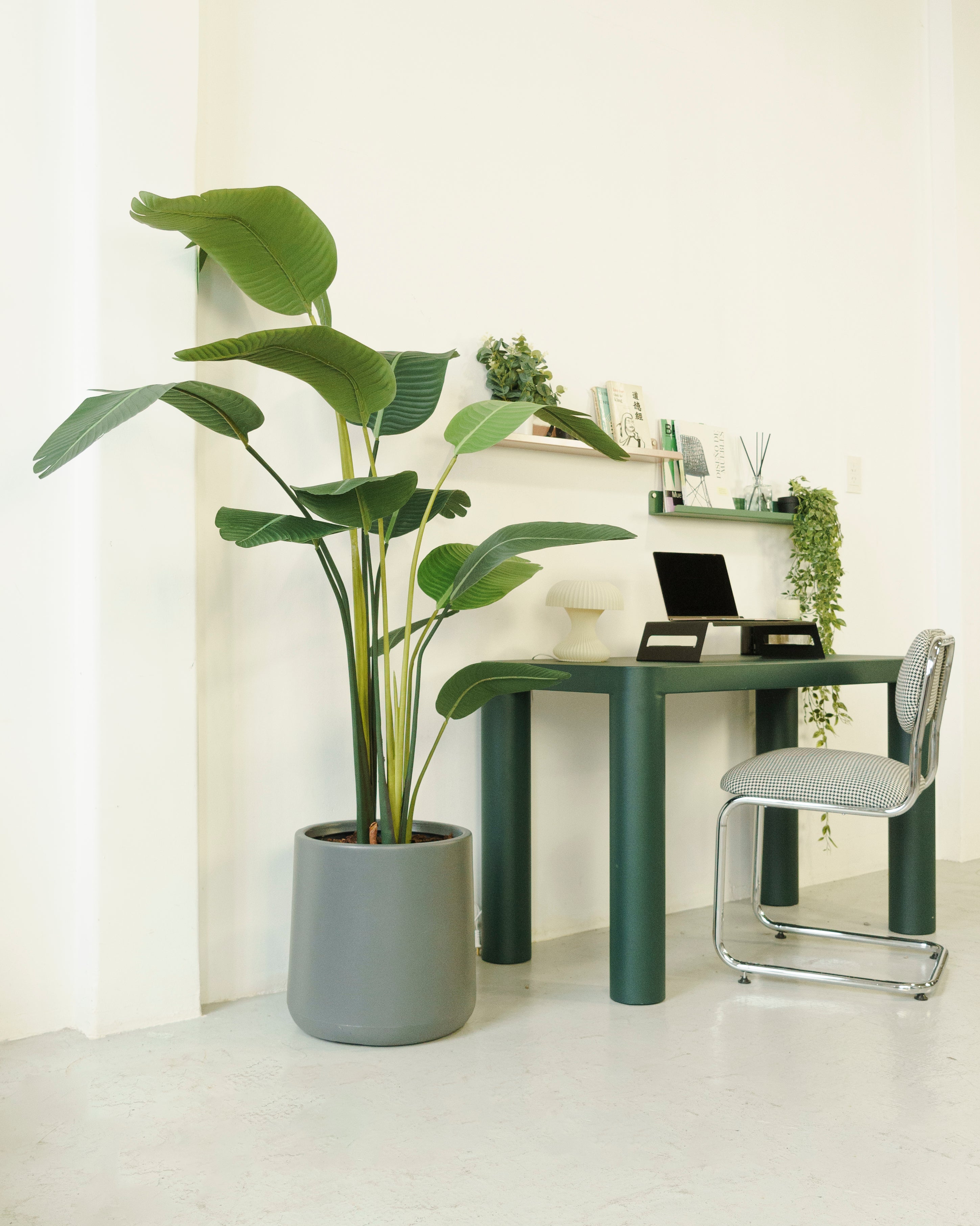 Planta Artificial Ave del Paraíso 180 cm - Strelitzia Artificial - 7