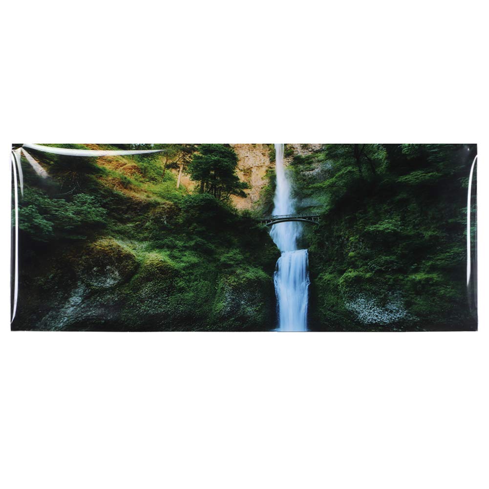 Autocollant en PVC pour fond d'aquarium Motif cascade de jungle Décoration d'aquarium (61*41cm) - 6