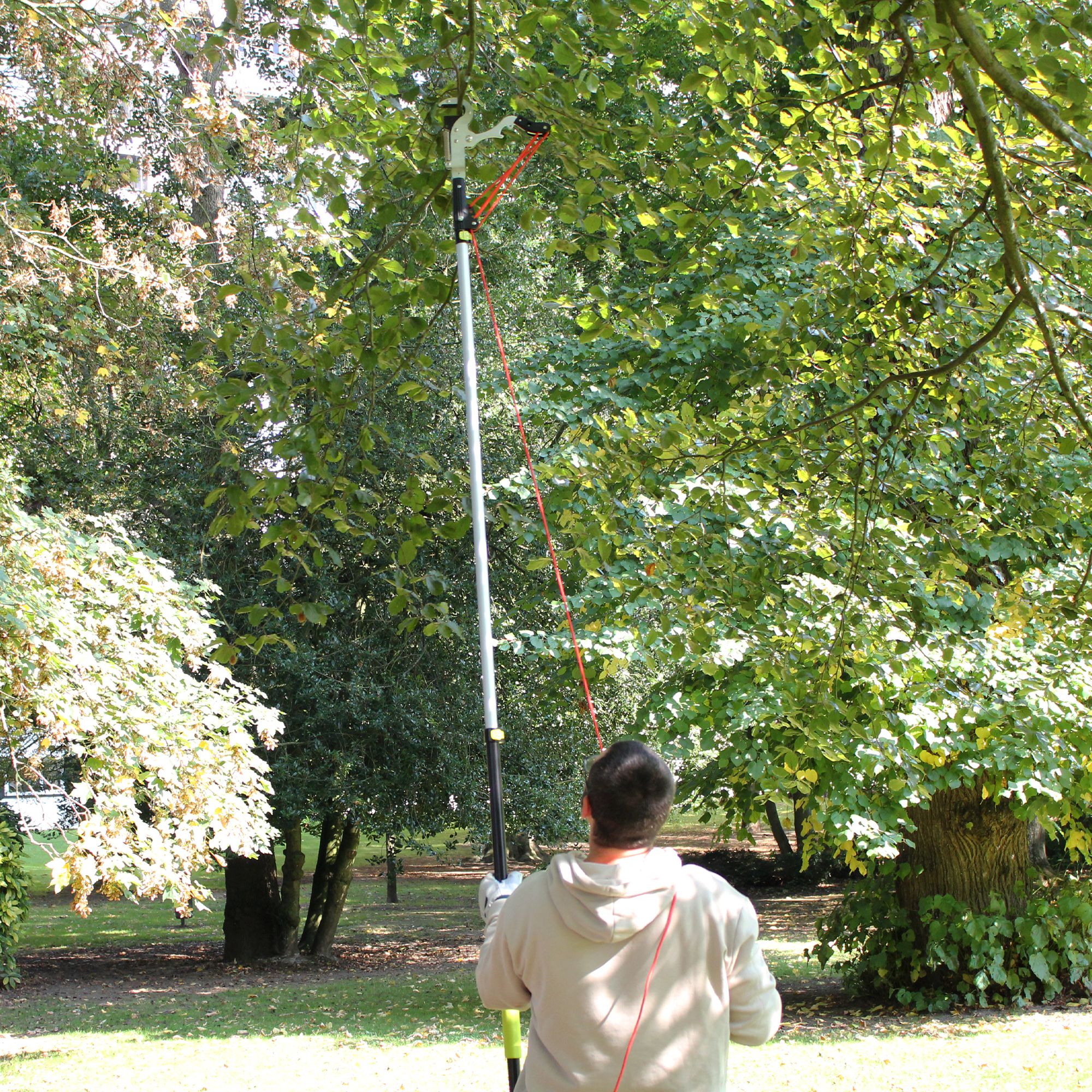 FISHTEC Échenilloir Scie télescopique Sécateur Coupe-Branches Arbre - 2,08 à 4,25m de hauteur - 2