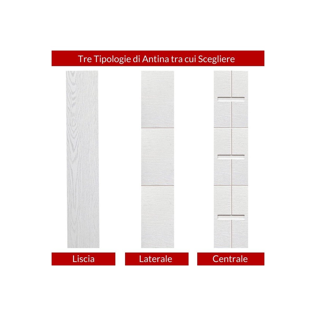 Porta Blindata due Ante con Vetro Pannello da Esterno Inserti in Alluminio - 3