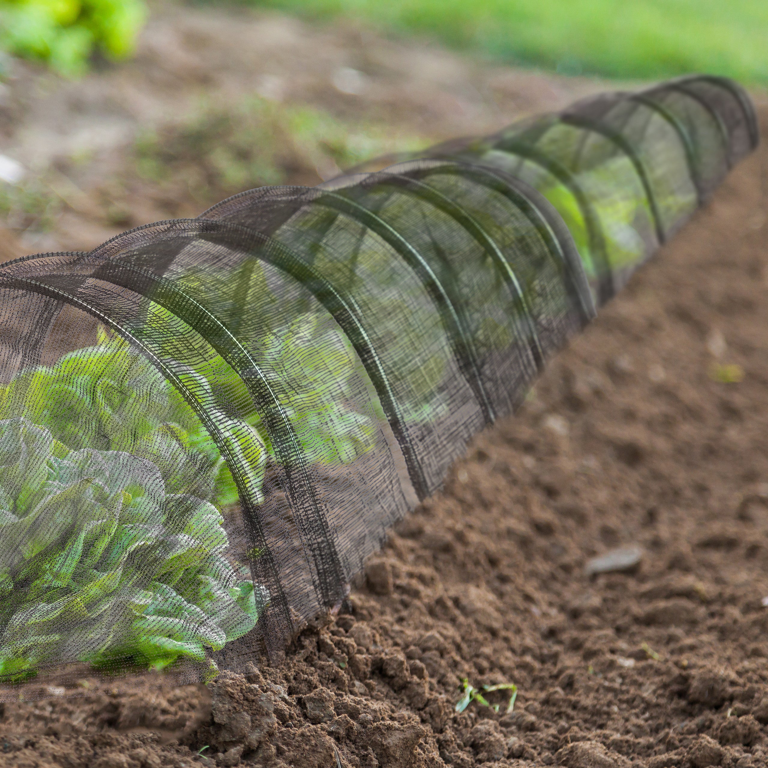 Tunnel de forçage, 7 mètres, filet PE, avec arcs tunnel, pour légumes, fraises, jardin, pliable, noir, Relaxdays - 2