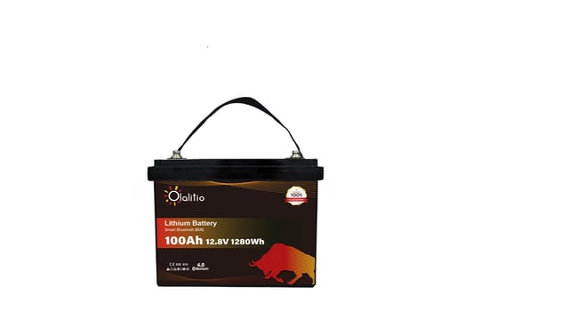Batteria al Litio 12V 100Ah LiFePO PRO- Bluetooth-BMS – Leggera, Potente e Connessa