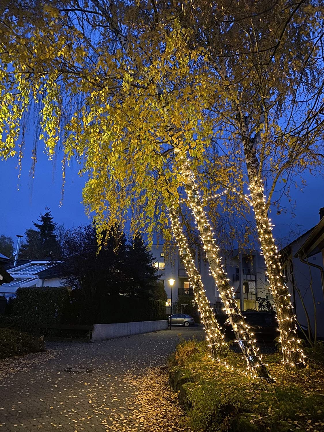 1 Metro 10 Led Di Rame Filo D'argento Bianco Caldo 2aa Funzionamento A Batteria