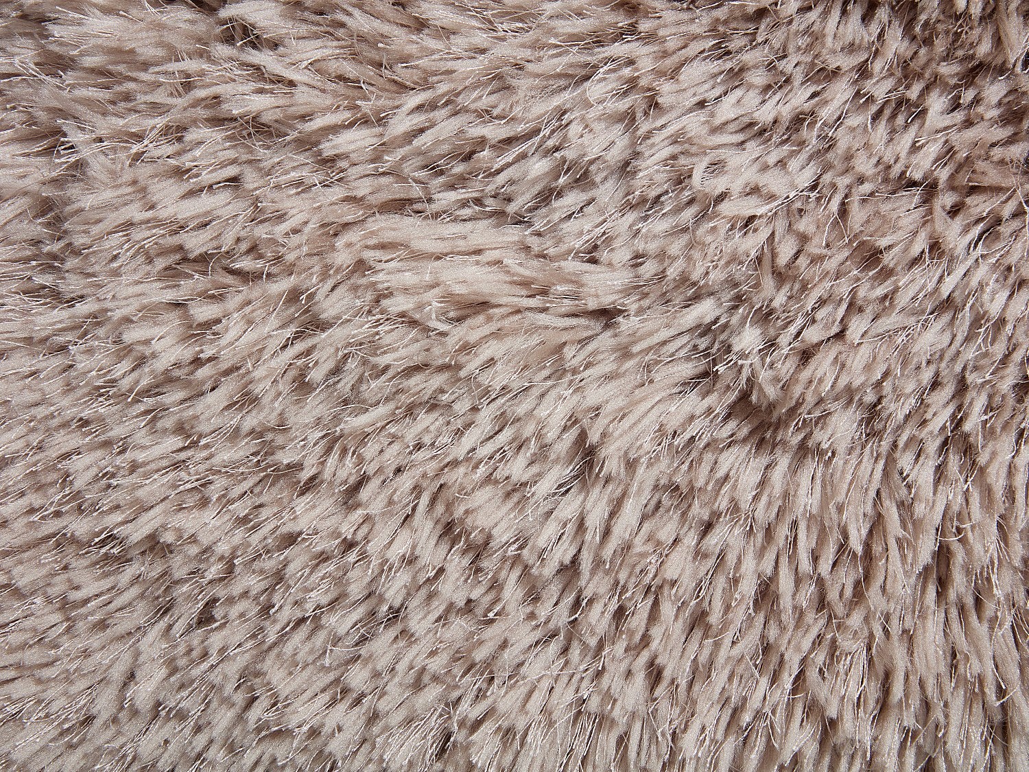 Dywan shaggy z długim włosiem - 200 x 290 cm - Taupe - ARDELA - 5