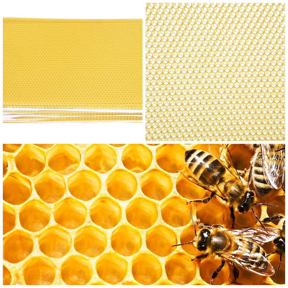 30 folhas de cera alveolada texturizada para colmeias e ferramentas de apicultura - 3