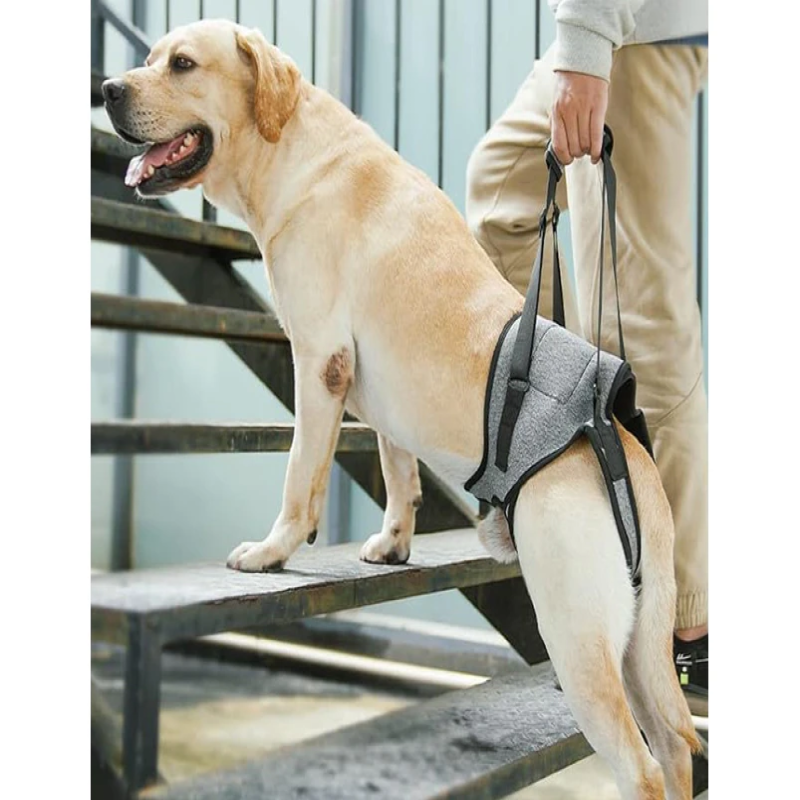 Harnais de levage pour chien, harnais de soutien réglable pour les pattes arrière, écharpe de levage pour chiens âgés, blessés ou handicapés - 2
