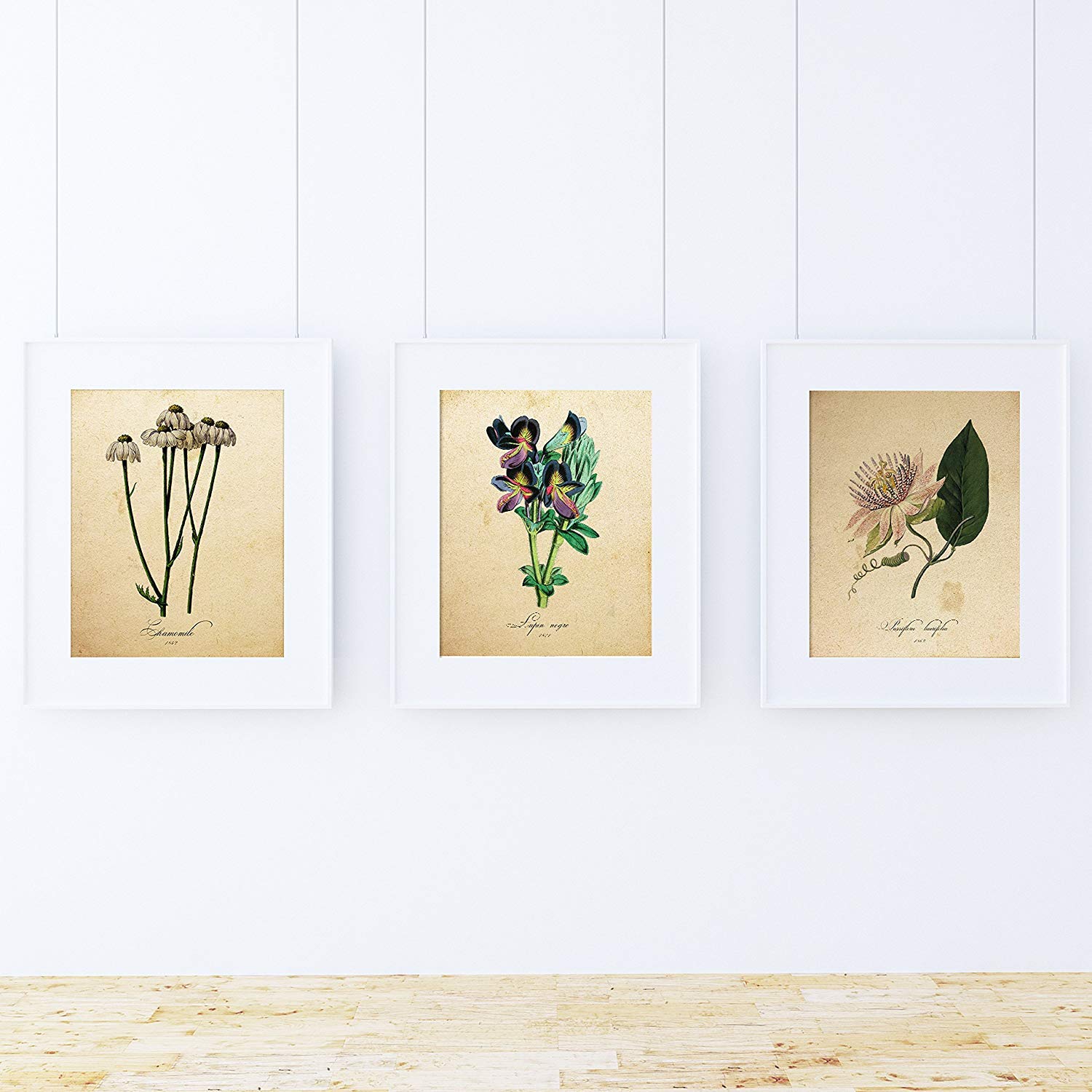 Pack de láminas infusiã“n. posters con imagenes de botanica. alta calidad marco blanco a4