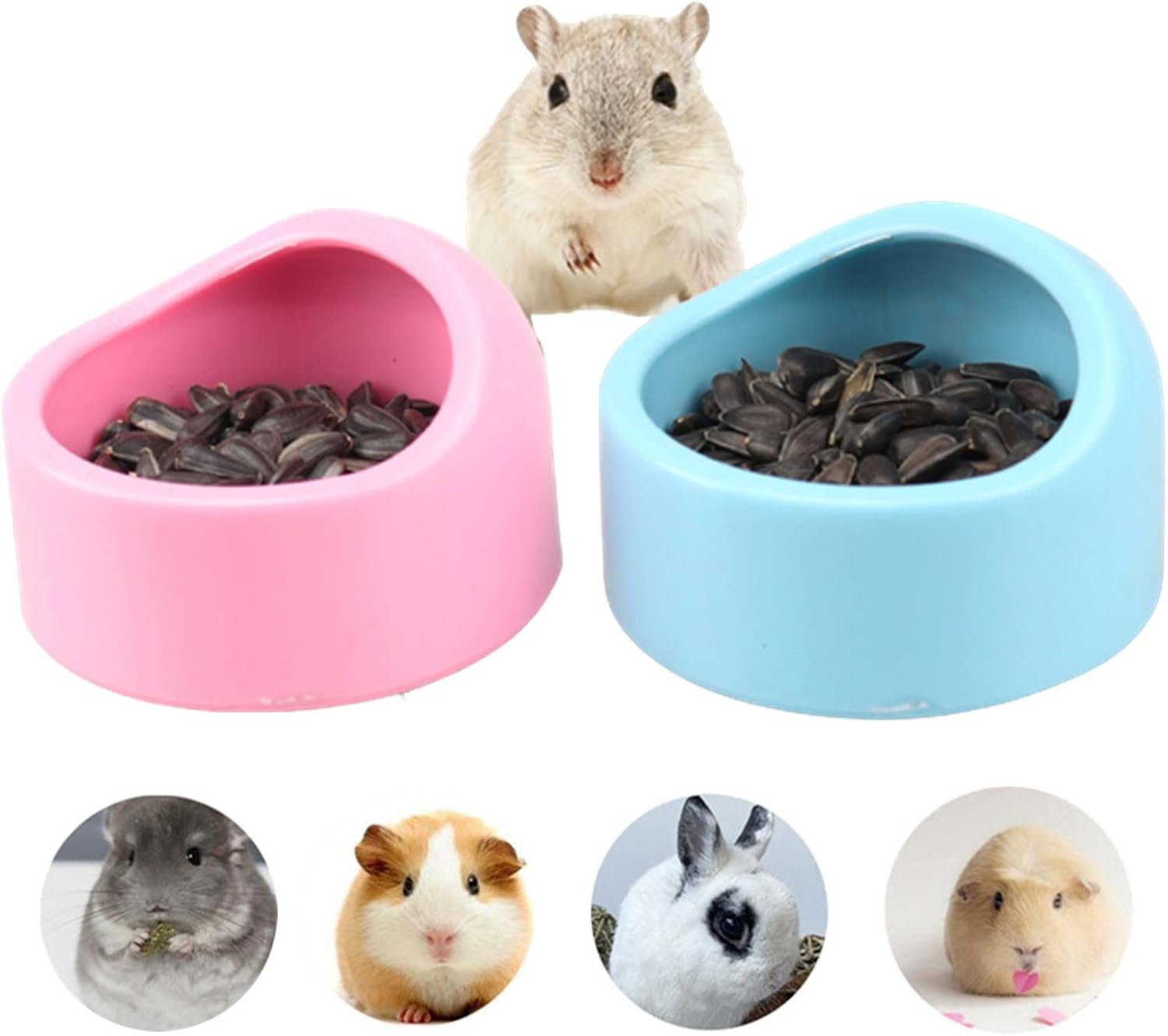 Miska dla chomika, Miska dla małych zwierząt, Karmnik dla chomika, Miski dla chomika, Odporne na gryzienie, 2 sztuki (niebieska i różowa)